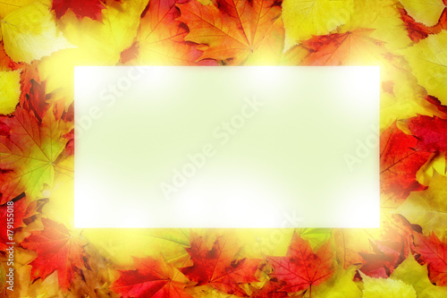 Autumnal background pattern, maple leaves elements blank space for text, isolated white center.