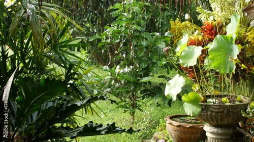 Wallpaper Mural climate condition of rain drop in the green garden Torontodigital.ca