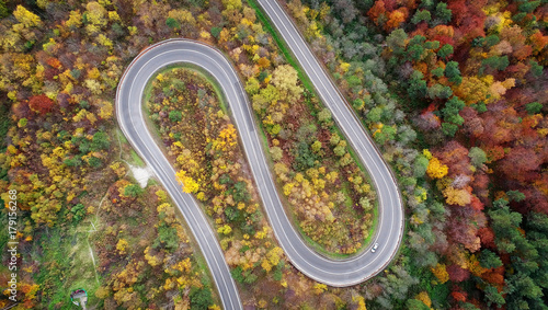 Road in autumn scenery - aerial shot © Piotr Krzeslak