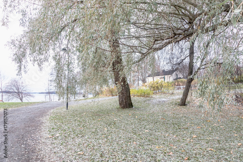 The first snow in autumn in Finland. Park, lake and forest, nature trail, nature photography. Travel. photo