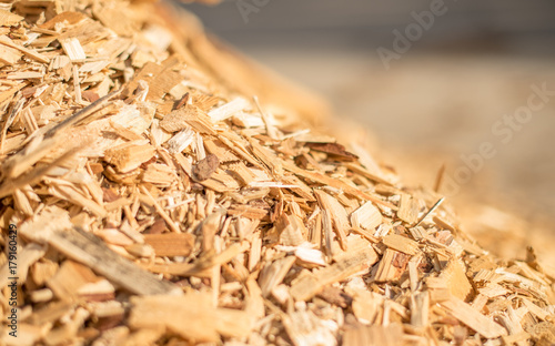 The slope of a pile of industrial wood chips. photo