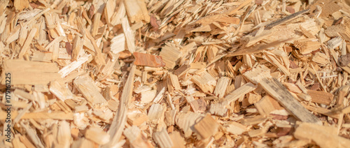 Industrial wood chips.