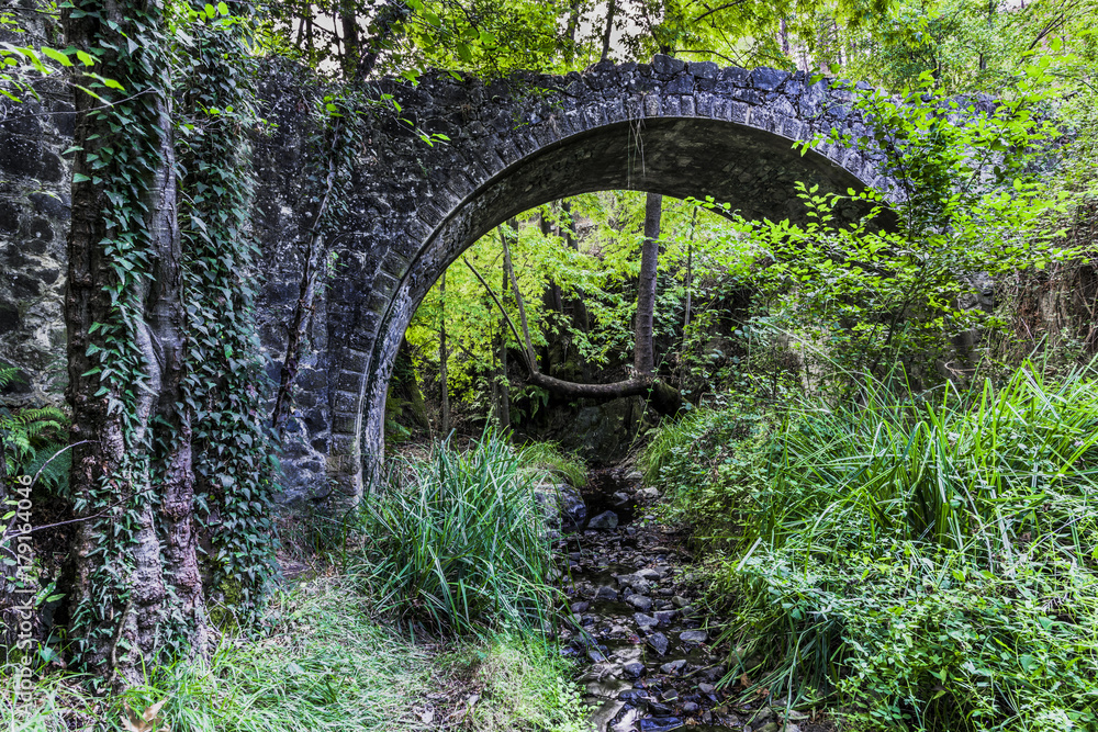 Mountain stream and arch of stone bridge Mountain stream and arch of stone bridge