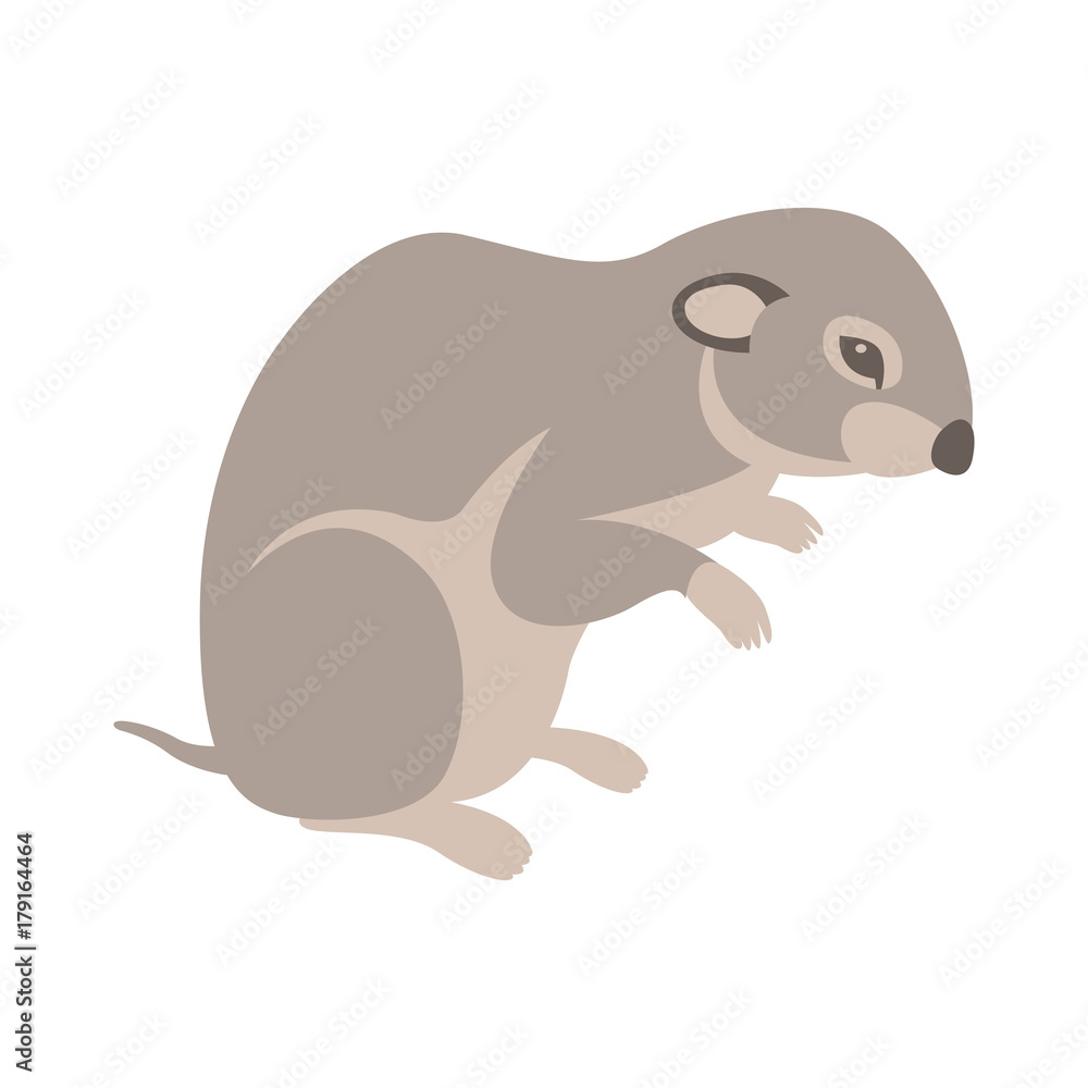 mouse vole vector illustration flat style black silhouette set side