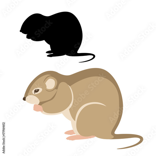 mouse vole vector illustration flat style black silhouette set side