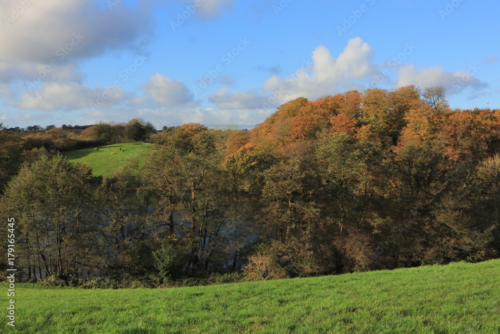 sanfte Hügel in malerischer Landschaft im Herbst