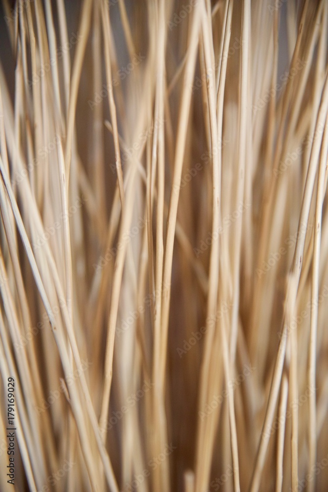 Dried straw (3rd)