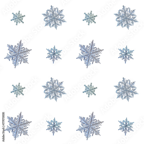 Set with snowflakes isolated on white background. Macro photos of real snow crystals: stellar dendrites with complex elegant shapes, ornate arms with many side branches and fine hexagonal symmetry. © Alexey Kljatov