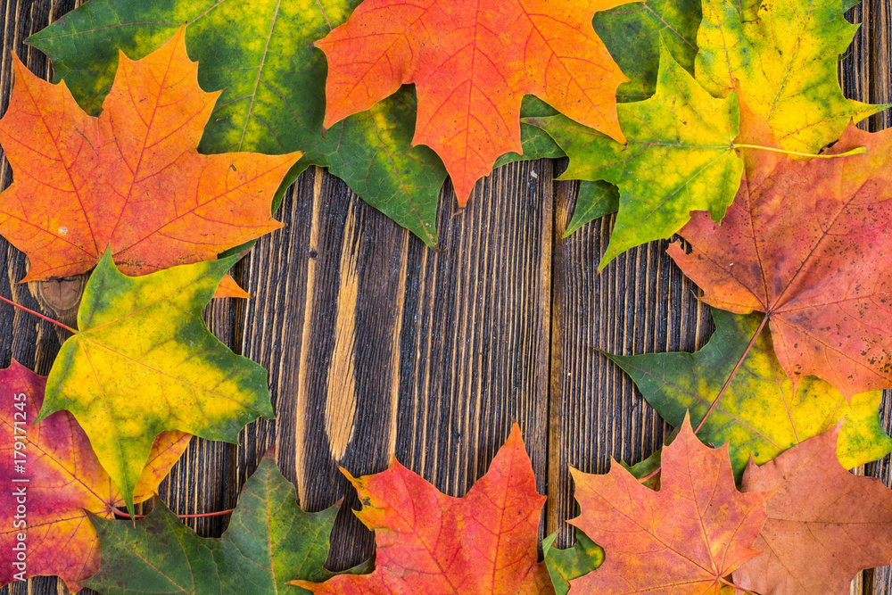 Obraz premium Frame of yellow, green and red autumnal colored maple leaves on wooden background. Fall foliage