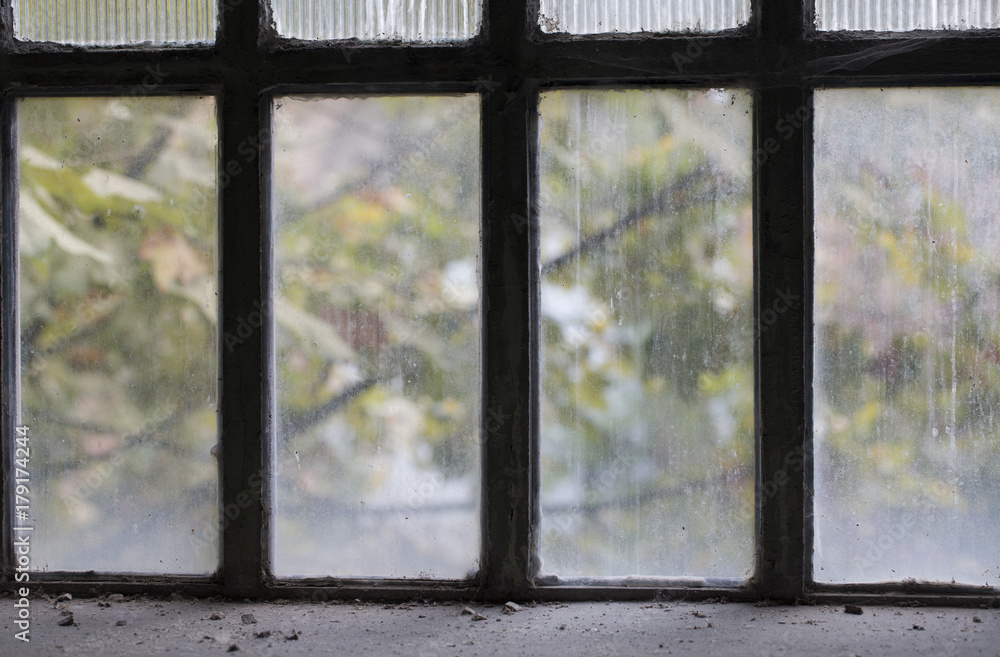 Window Window