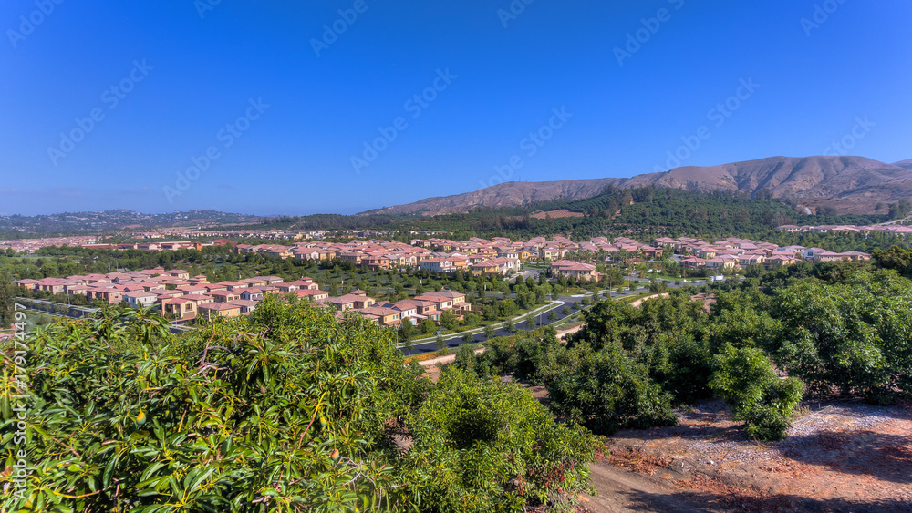 Orchard Hills - Avocado Groves 01 Orchard Hills - Avocado Groves 01