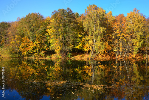 Fototapeta Naklejka Na Ścianę i Meble -  Autumn trees reflecting in the water