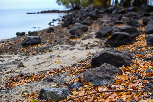 autumn landscape 