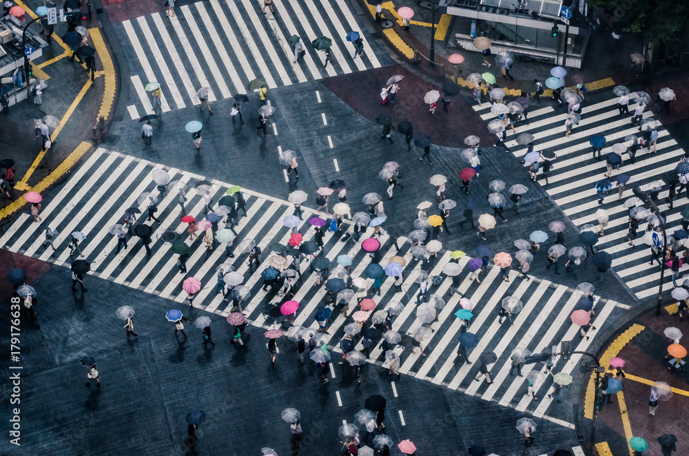 People With Umbrellas At Shibuya Crossing On A Rainy Day Photos | Adobe ...