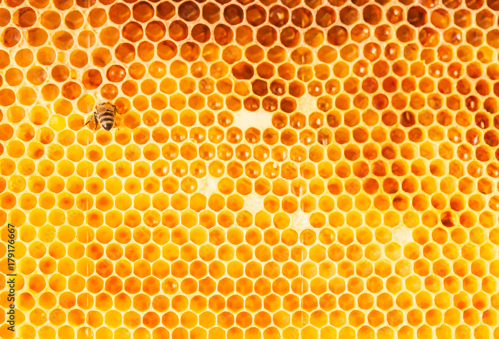 Honeycomb