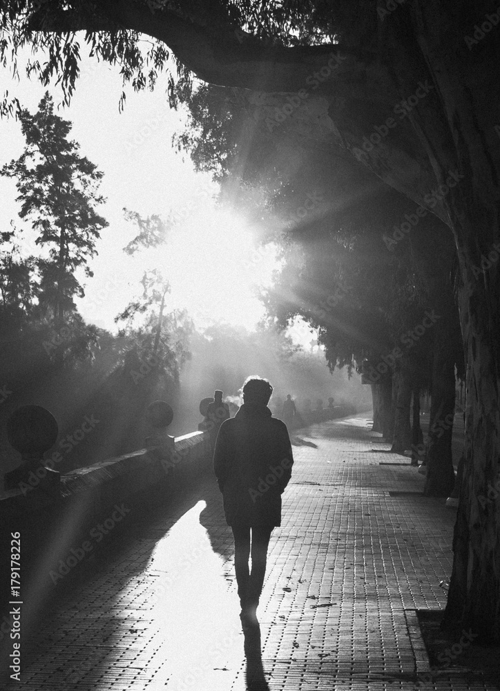 Boy walking in the morning fog. Boy walking in the morning fog.