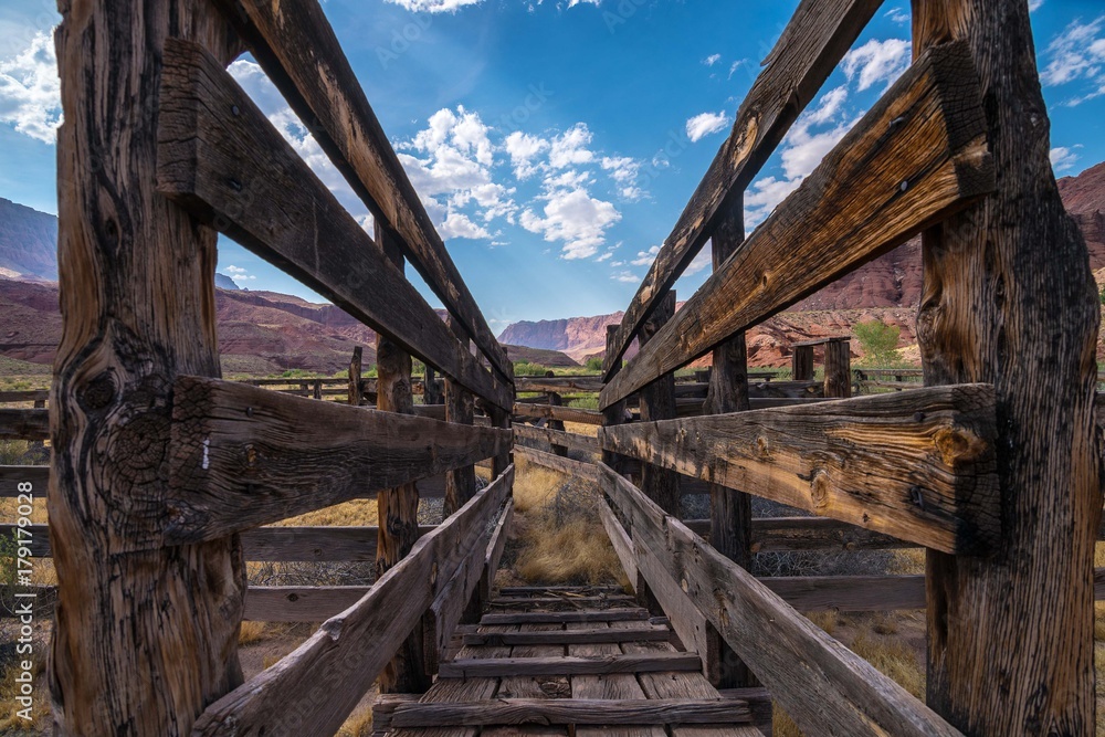 In the Corral In the Corral