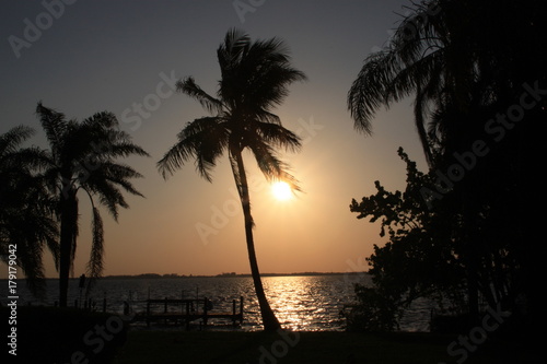 Florida Sundown
