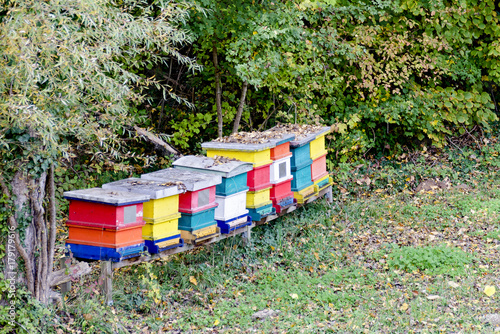 colorful wooden bee-hives © leopold