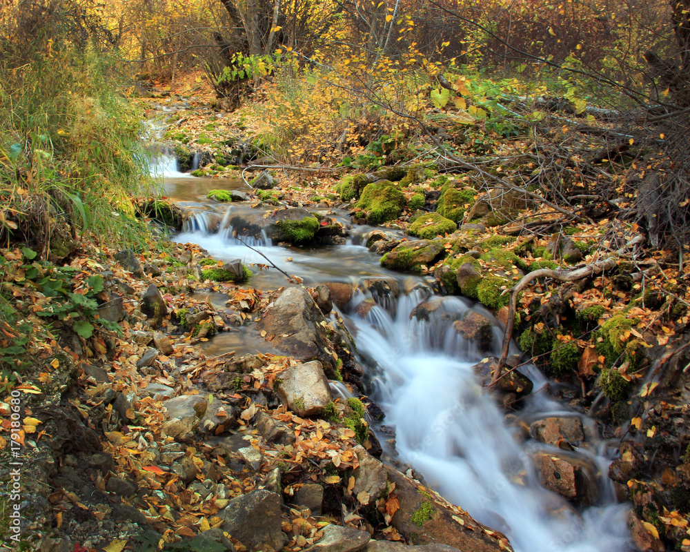 Waterfall with Autumn Foliage