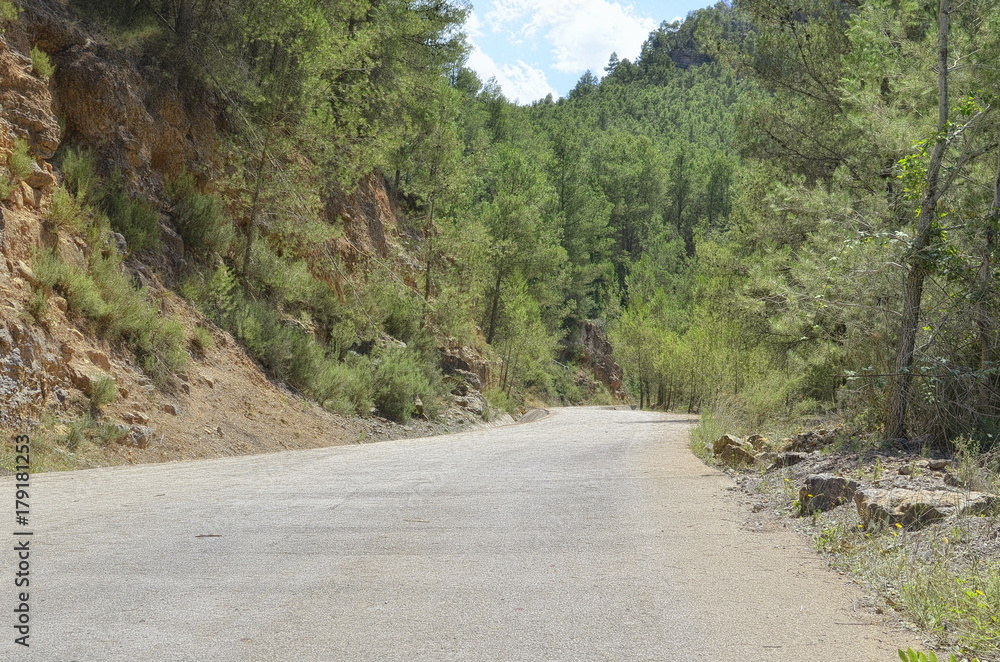 Scene of a mountain road with basic pavement and trees around. Summertime landscape. Mediterranean forest of pine trees. Glorious sunny day with blue sky and some clouds. Scene of a mountain road with basic pavement and trees around. Summertime landscape. Mediterranean forest of pine trees. Glorious sunny day with blue sky and some clouds.