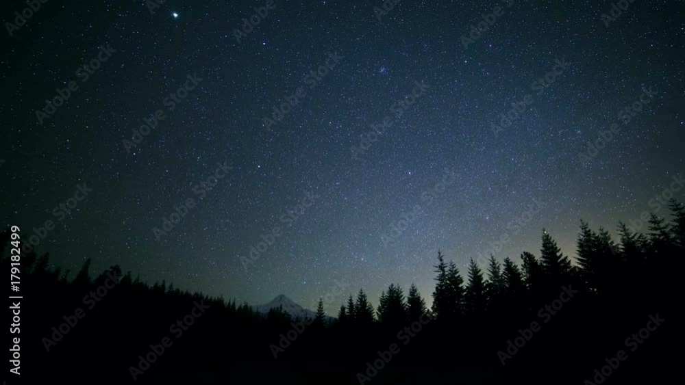 Dark silhouette of fir and pine tree forest against starry night sky and snowy mountain Mt. Hood Dark silhouette of fir and pine tree forest against starry night sky and snowy mountain Mt. Hood