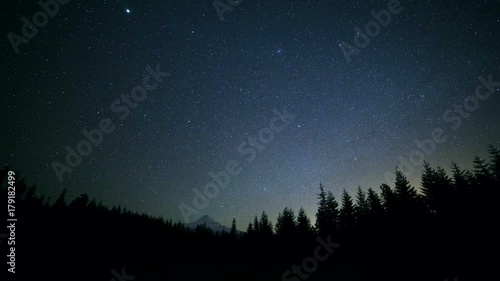 Dark silhouette of fir and pine tree forest against starry night sky and snowy mountain Mt. Hood