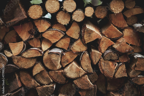 Stack of campfire wood photo