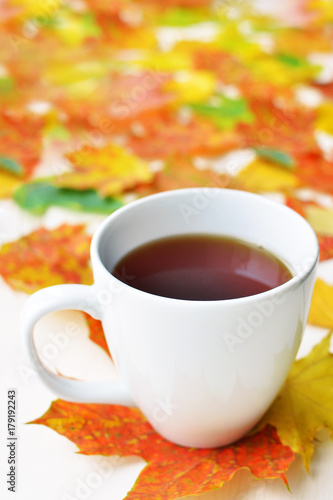 autumn cup of black tea