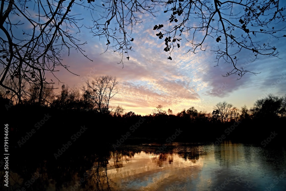 Picture of magic autumn landscape / Sunset blue sky with white clouds, pink color over a pond with water reflection and black trees, branches hanging down