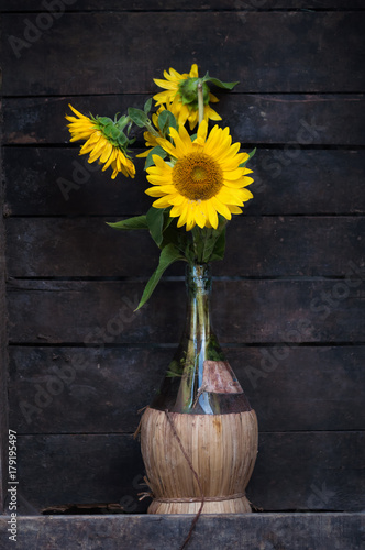 sunflowers in a fiasco photo