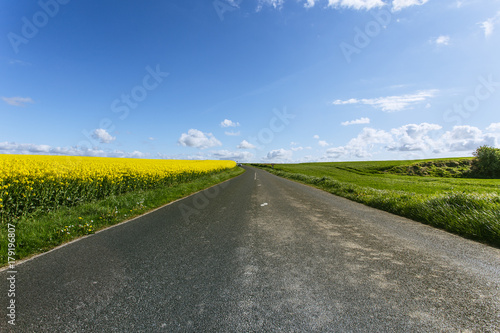Empty country asphalt road passing through green and flowering agricultural fields. Countryside landscape on a sunny spring day in Normandy  France