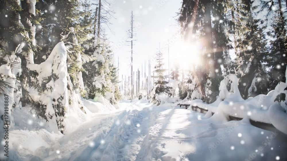 Winterliche Landschaft im Wald mit Schnee Winterliche Landschaft im Wald mit Schnee