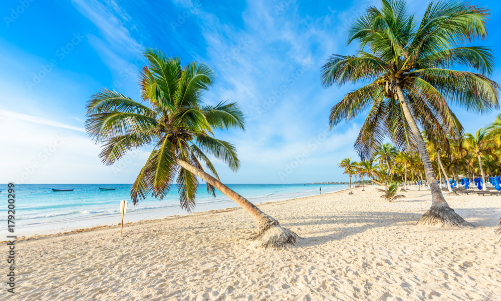 Paradise Beach also called Playa Paraiso at Tulum - sunrise at beautiful  and tropical caribbean coast of Tulum in Quintana Roo, Riviera Maya, Mexico  Stock Photo | Adobe Stock