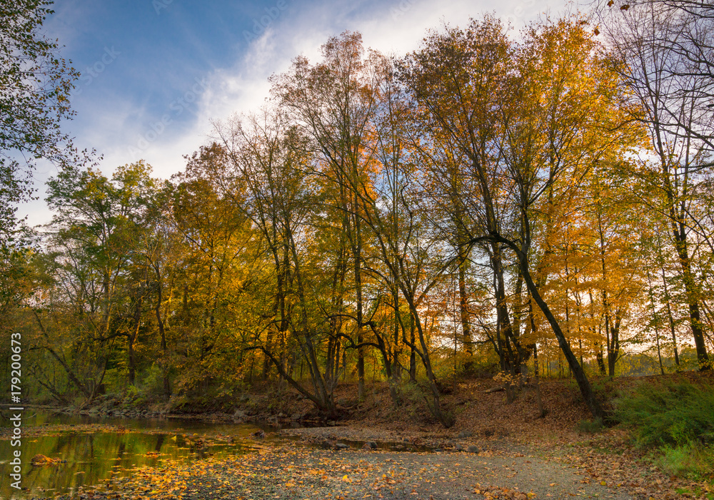 Fototapeta premium Ramapo River In Autumn
