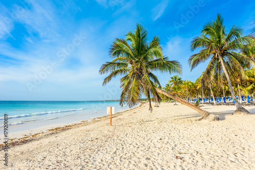 Paradise Beach also called Playa Paraiso at Tulum - sunrise at beautiful and tropical caribbean coast of Tulum in Quintana Roo  Riviera Maya  Mexico