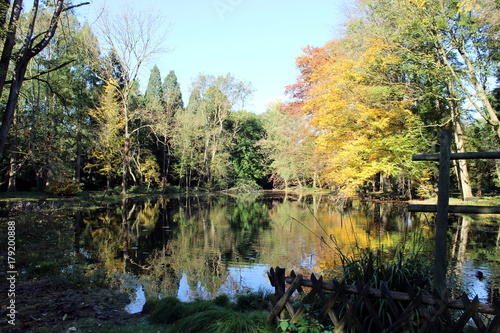 Teich im Schlosspark Paffendorf