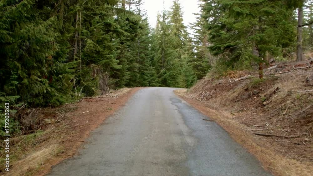 Driving down empty road car shot Wet Rainy Cascade Mountain Oregon Forest in Spring 3