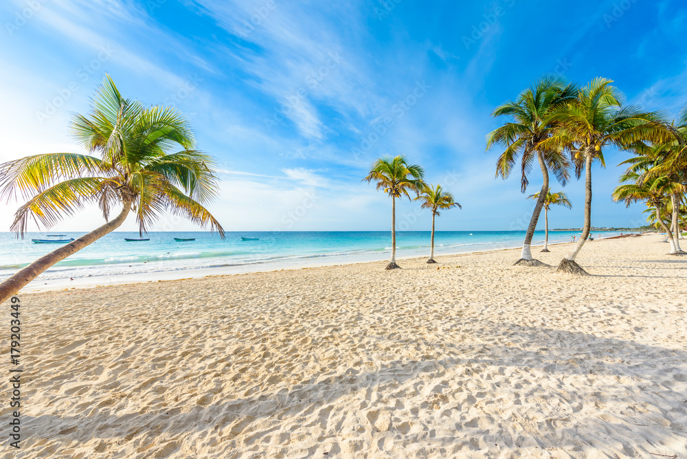 Obraz premium Paradise Beach also called Playa Paraiso at Tulum - sunrise at beautiful and tropical caribbean coast of Tulum in Quintana Roo, Riviera Maya, Mexico