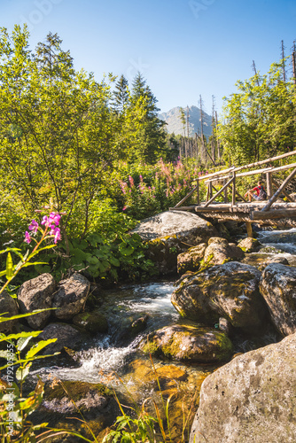 Old Wooden Bridge in Forest in Velicka Valley Leading to Gerlachovsky Peak  High Tatras  Slovakia