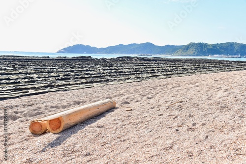 Isolated Wooden Log on Aoshima Island in Miyazaki Prefecture