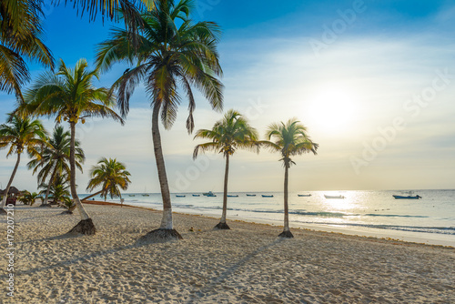 Paradise Beach also called Playa Paraiso at Tulum - sunrise at beautiful and tropical caribbean coast of Tulum in Quintana Roo  Riviera Maya  Mexico