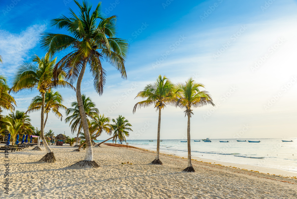 Obraz premium Paradise Beach also called Playa Paraiso at Tulum - sunrise at beautiful and tropical caribbean coast of Tulum in Quintana Roo, Riviera Maya, Mexico