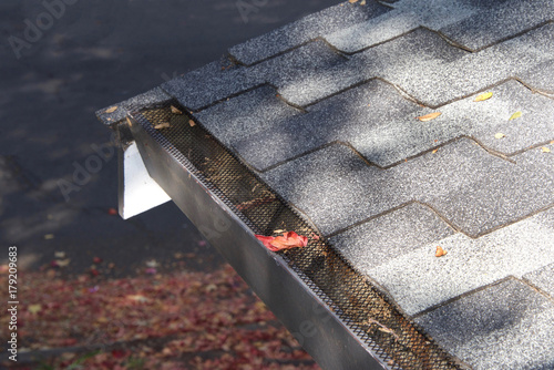 Mesh guards over troughs to prevent leaves and large debris from getting into gutters. Clogged gutters less likely, maintenance is much easier, can prevent rusting and provides added fire protection. photo