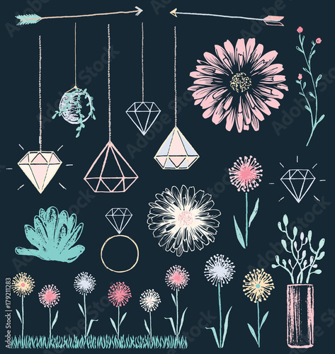 Succulent Flowers and Crystals Chalk Drawing Vector Set