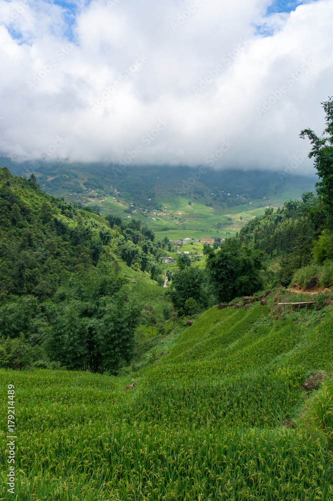 Spectacular views on valley with green rice terraces