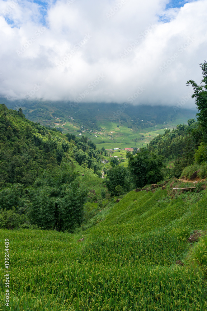 Obraz premium Spectacular views on valley with green rice terraces