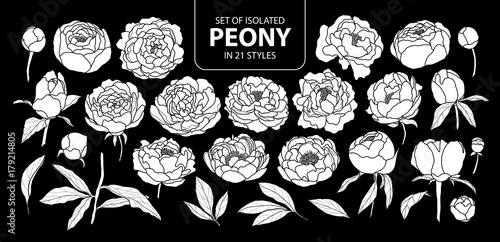 Set of isolated white silhouette peony in 21 styles. Cute hand drawn flower vector illustration in white plane and no outline.