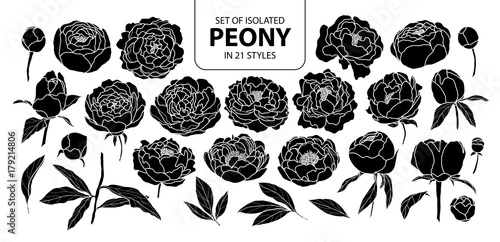 Set of isolated silhouette peony in 21 styles. Cute hand drawn flower vector illustration in white outline and black plane. photo