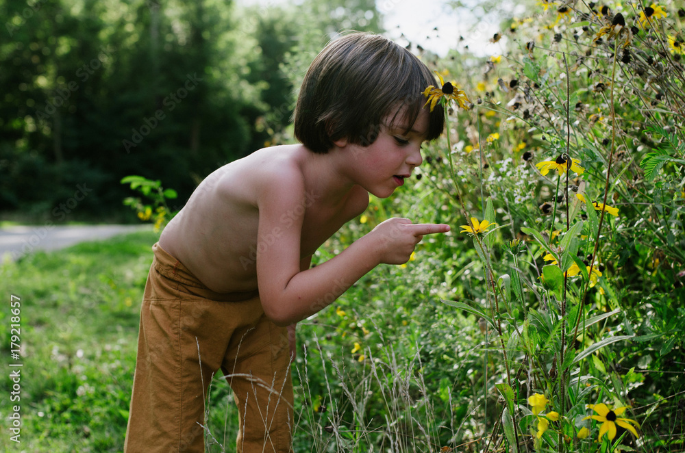 Boy looking at Yellow Flowers Boy looking at Yellow Flowers